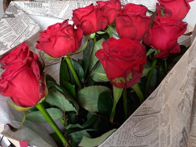 BOUQUET DE ROSES OU COMPOSE , JARDIN DE PLANTES, PLANTE VERTE FLEURIE...