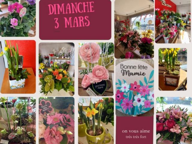 DIMANCHE 3 MARS 2024 . OFFREZ UN JOLI BOUQUET A VOTRE MAMIE ADOREE 