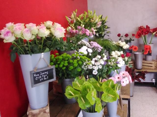 BOUQUET DE ROSES OU COMPOSE , JARDIN DE PLANTES, PLANTE VERTE FLEURIE...