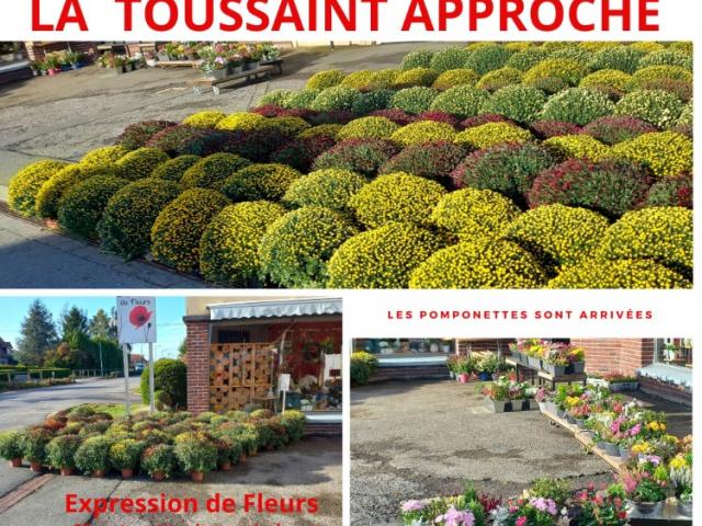 BIENTOT LA TOUSSAINT ! VENEZ DECOUVRIR LES COMPOSITIONS FLORALES POUR VOS DEFUNTS 